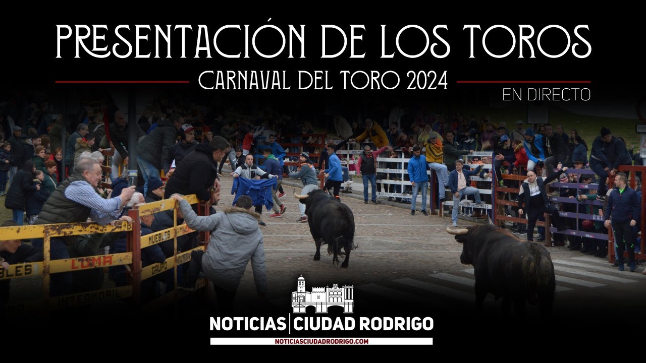 en-directo-presentaci-n-de-los-toros-del-carnaval-del-toro-2024-youtube