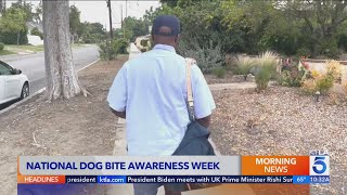 USPS launches campaign to prevent dog attacks on mail carriers