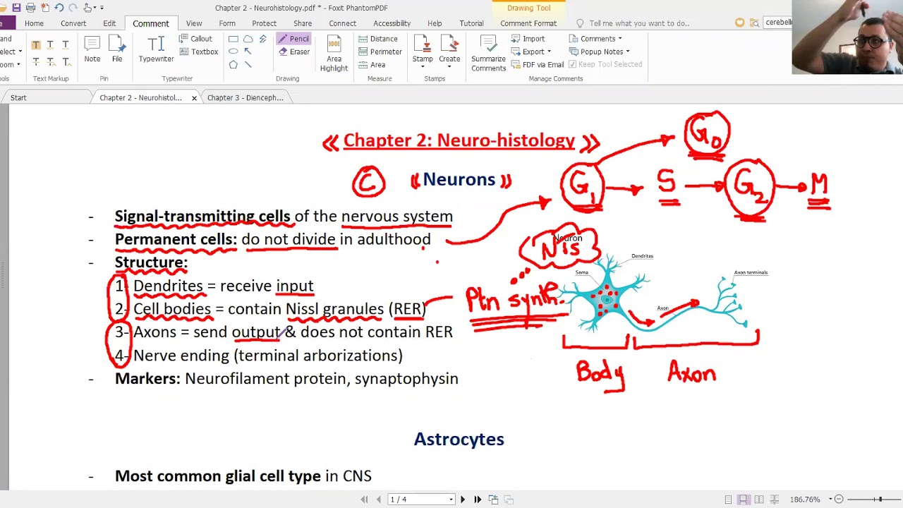 TA7 USMLE STEP 1 : NEUROSCIENCE Trial lecture 2