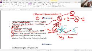 TA7 USMLE STEP 1 : NEUROSCIENCE Trial lecture 2
