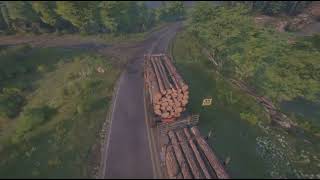 Log run screenshot 3