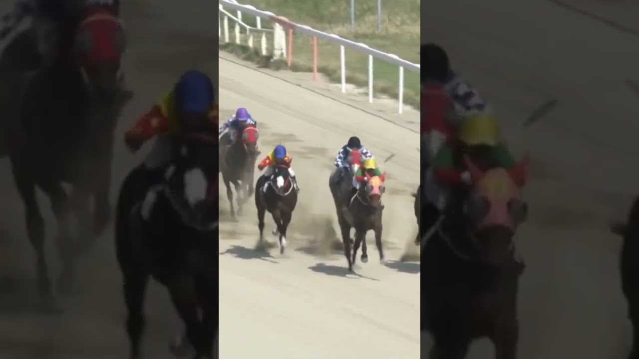 18배단승3방으로적중