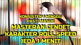 PANCINGAN CENDET, BUNYI CENDET ROLL SPEED JEDA 1 MENIT