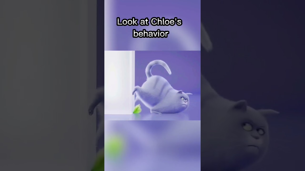 Chloe, a cat in the movie the secret life of Pets is in Minions & more One.