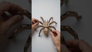 spider robot home made diy projects | #shorts #diy #diycrafts #shortsfeed