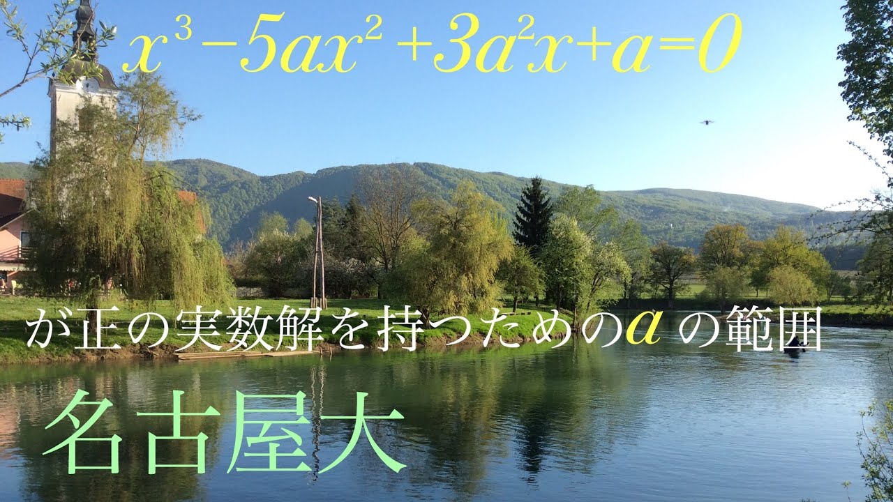 名古屋大学　３次方程式　正の実数解をもつ条件 Mathematics Japanese university entrance exam