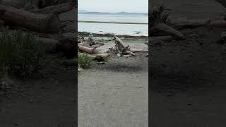 Dont Block the Boat Launch Fer Cryin Out Loud #shorts