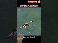 #trending #shortvideo #100millon #viral #wildlife @wildanimalexperiment