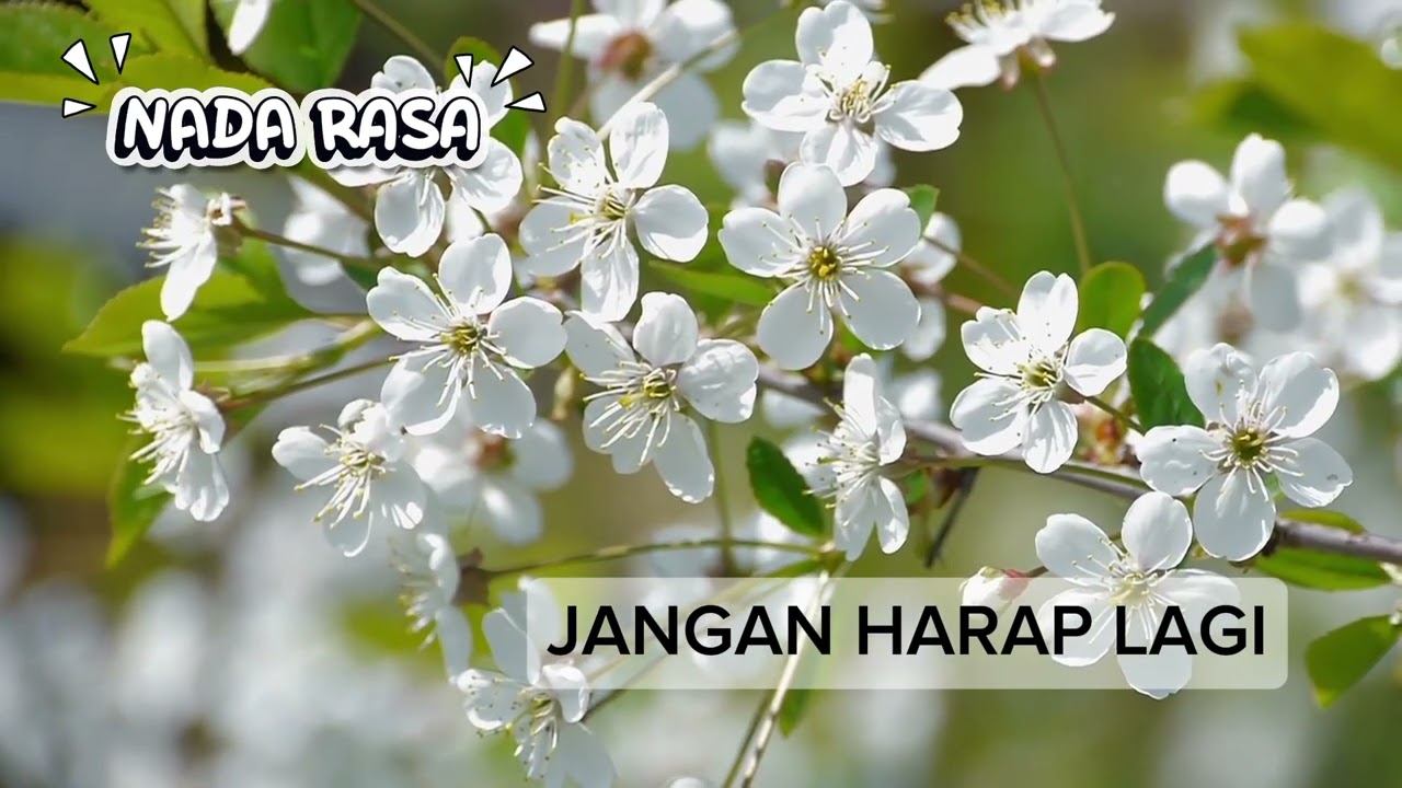 JANGAN HARAP LAGI-NADA RASA AI (ORIGINAL SONG)