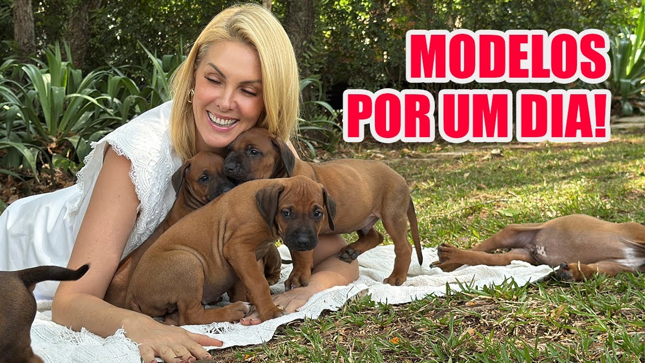 PRIMEIRO ENSAIO FOTOGRÁFICO DOS FILHOTES l ANA HICKMANN