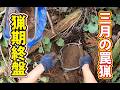 【猪猟】３月の罠猟 #猪猟 #犬 #犬動画 #狩猟 #有害鳥獣