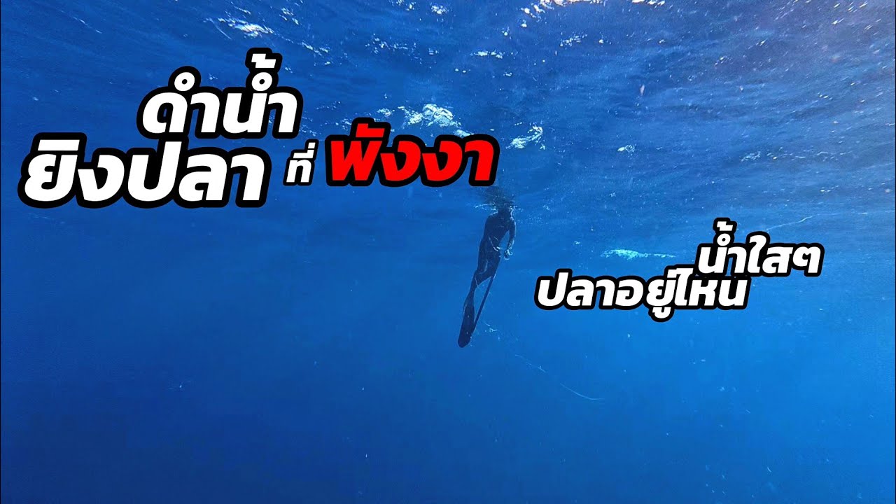 ดำน้ำยิงปลา I ตอน น้ำใสๆ ปลาอยู่ไหน...