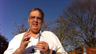 Database Cardinalities