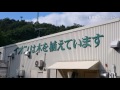 マックスバリュ西日本創業35周年 店内放送 の動画、YouTube動画。