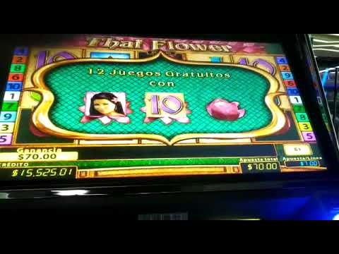 What A HIT FAM!! #casino #gambling #slots #slot #vegas