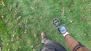Simplex+ vs Anfibio vs Impact in the test garden