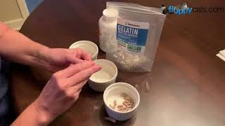 Goodbye Stress: Master Cat Medication with This DIY Pill Trick (Gelatin Caps!) by Floppycats 😻 ☑️ 247 views 3 months ago 1 minute, 56 seconds