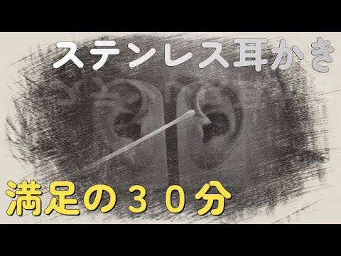 【ASMR】ステンレス耳かきでじっくり耳掃除【声なし/No Talking】 Ear Cleaning