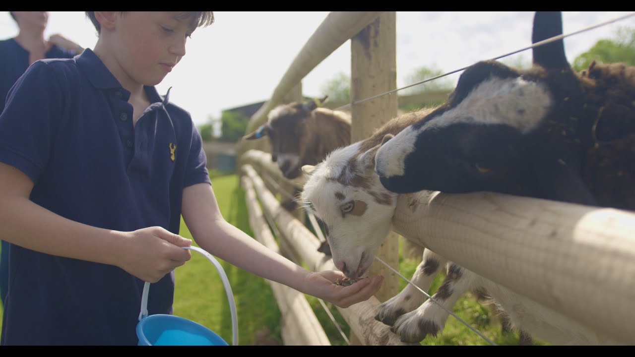 Nethway Farm Holiday Cottages - Family friendly self catering holidays.