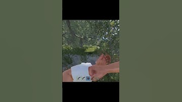 Somtimes eoaks are just better than an AK (not actually) #rust #eoka #ez