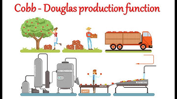 cobb douglas production function | microeconomics | Short run | long run |