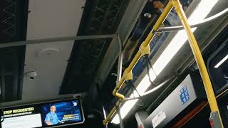Q77 bus ride on the 2023 novabus Lfs from Jamaica Ave to Hollis Ave