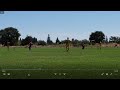 Lions XI vs Roseville United Cricket Match Highlights Part 2