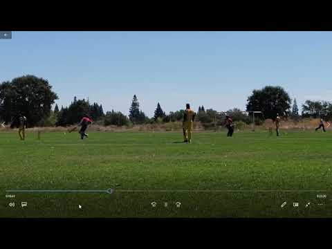 Lions XI vs Roseville United Cricket Match Highlights Part 2