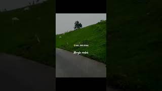 Ojo Goblok Mencinta  Happy Asmara