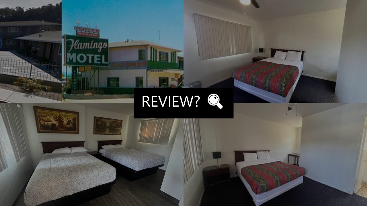 flamingo motel   san ysidro