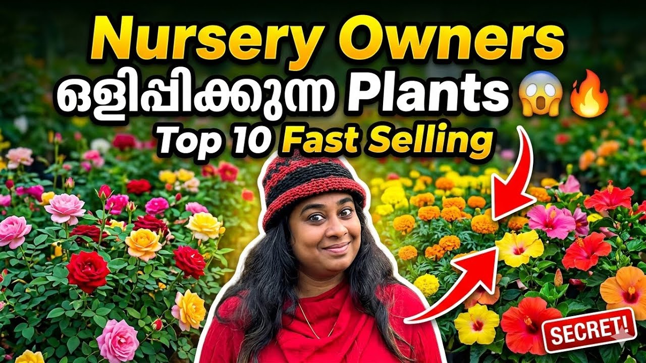 Быстрорастущие и быстро раскупаемые 10 цветущих растений 🌸🔥 | Бестселлеры питомника | Растительны...