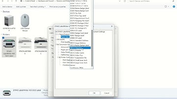 Dymo LabelWriter 450 Duo Setup Windows 11
