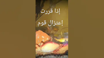 إذا قررت إعتزال قوم فاحفض لسانك عنهم حكمة و عبرة 