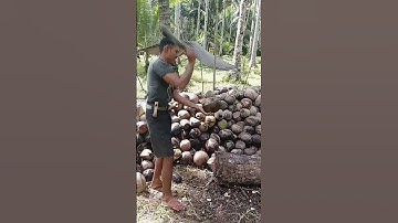 Amazing! Farmer split coconut with a machete in seconds 😱