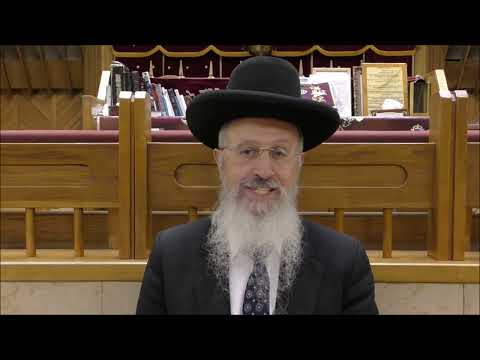 הגאון הרב אברהם יוסף שליט"א דיני והלכות מוקצה ביום טוב