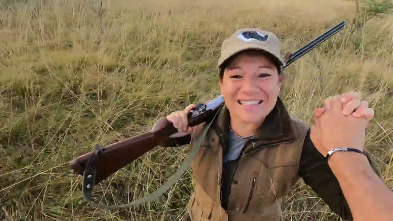 A quaglie col Breton...apertura quaglie 2022 in cal 36 e Breton di un anno alla prima uscita...