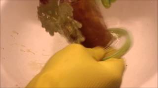Pukinbeagle Slyme Propeller Perc Rig Cleaning Vid