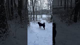 Winter Wonderland Escape at 129 Mallory Road, Verbank, NY