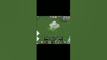 when i use invisibility potion on mob #invisibility #mob #minecraft #comedy #viral #trending #shorts