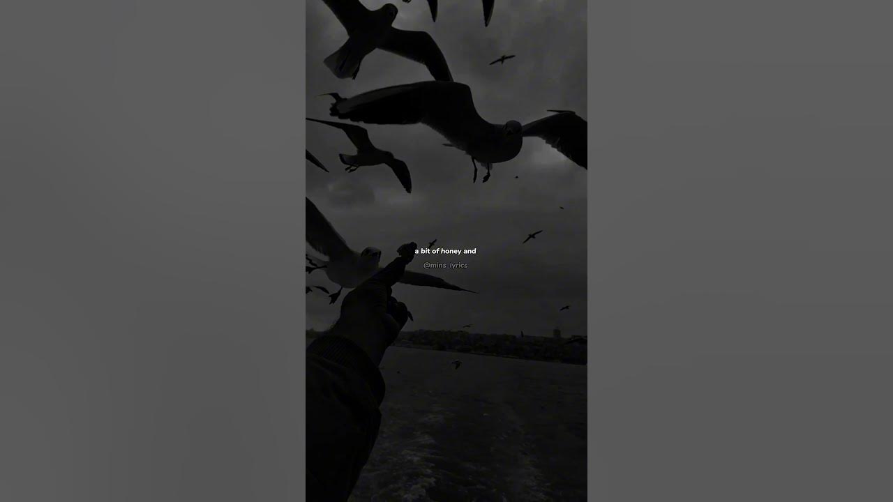 Dernière danse - Indila | lyrics | aesthetic | whatsapp Status | slowed | speed up | audio