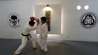 Gendai Aikido Vs. Bullying
