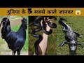 Top-3 black Animals 🐍 ) दुनिया का सबसे काला साँप🐍 #shorts #youtubeshorts