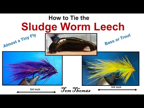 Tying The Sludge Worm Leech Fly Pattern = Tiny Leech