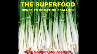 AMAZING HEALTH BENEFITS OF SCALLION||A SUPER FOOD THAT GROWS ANYWHERE||HOME GARDEN AND FASHION screenshot 1