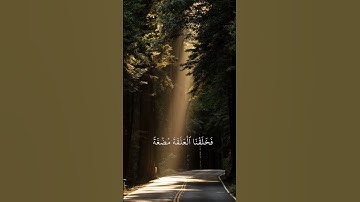 #سورة_المؤمنون من الشيخ #ياسرالدوسري ||❤️ #قرآن #اكسبلور #explore #like #quran #fyp #edit #duet