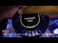 Kessil A80 Tuna Blue Aquarium LED Real World Review