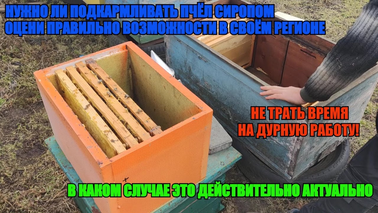 ПОДКОРМКА ПЧЁЛ СИРОПОМ В МАРТЕ почему ЭТО НЕ НУЖНО НА ПАСЕКЕ И В КАКОМ СЛУЧАЕ ЭТО АКТУАЛЬНО 🐝🐝🐝