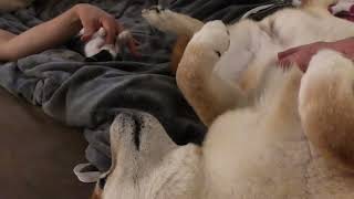 新しいおやすみ前のルーティーン