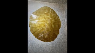 Organic Flower Room Round#3 Week#9 #ImpelloBio #KoweKast #DrEarth #RisenTek #DownToEarth #VivoSun