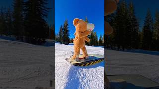 Bear-Able Conditions